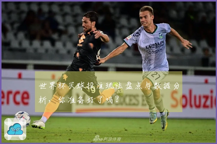 世界杯买球投注玩法盘点与数据分析，你准备好了吗？