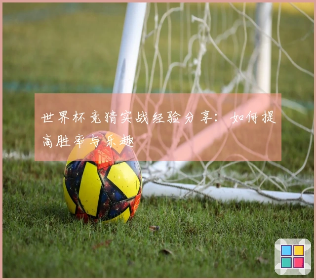 世界杯竞猜实战经验分享：如何提高胜率与乐趣