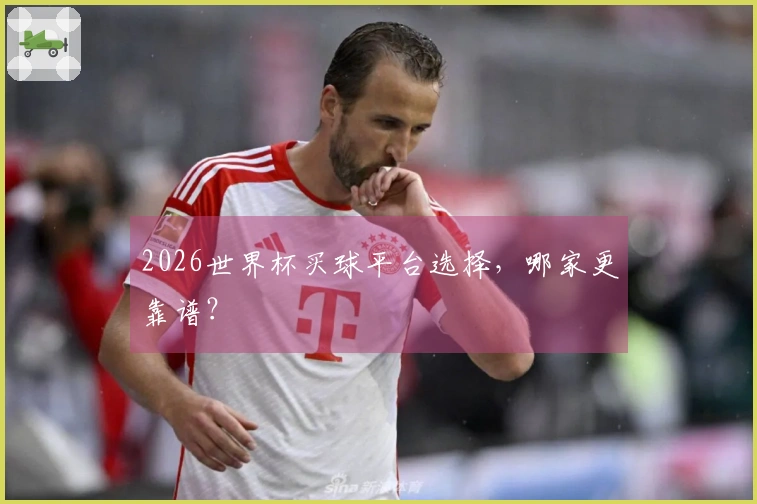 2026世界杯买球平台选择，哪家更靠谱？