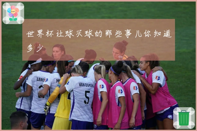 世界杯让球买球的那些事儿你知道多少