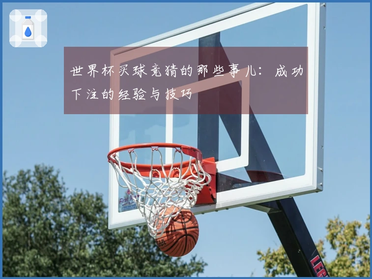 世界杯买球竞猜的那些事儿：成功下注的经验与技巧