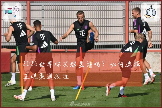 2026世界杯买球靠谱吗？如何选择正规渠道投注