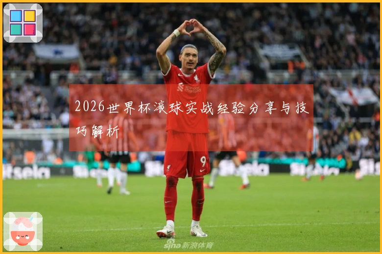 2026世界杯滚球实战经验分享与技巧解析