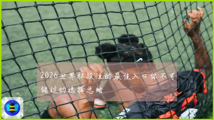 2026世界杯投注的最佳入口你不可错过的选择总结