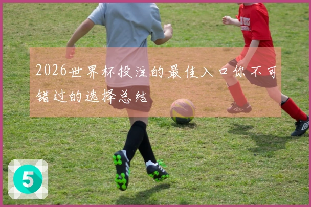 2026世界杯投注的最佳入口你不可错过的选择总结