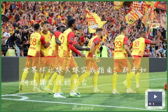 世界杯让球买球实战指南：新手如何选择合适的平台