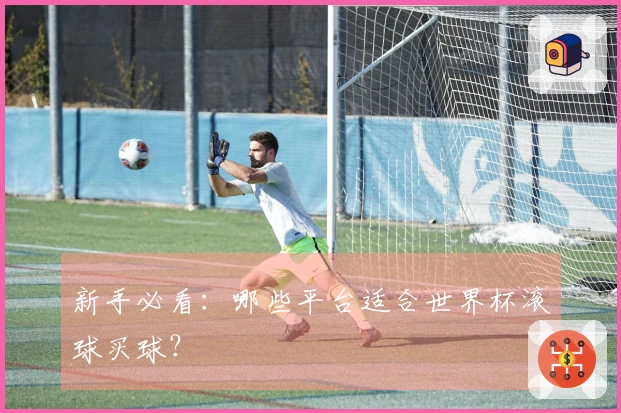 新手必看：哪些平台适合世界杯滚球买球？