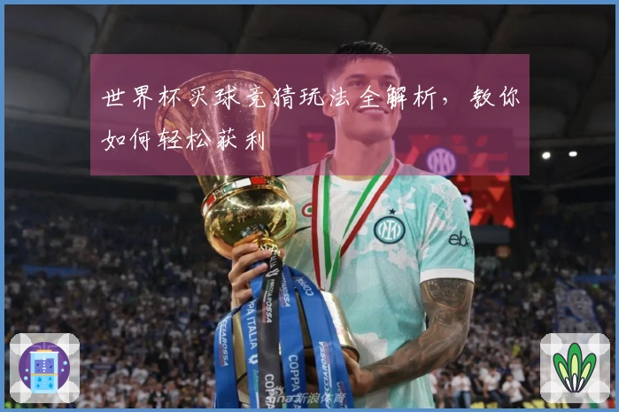 世界杯买球竞猜玩法全解析，教你如何轻松获利
