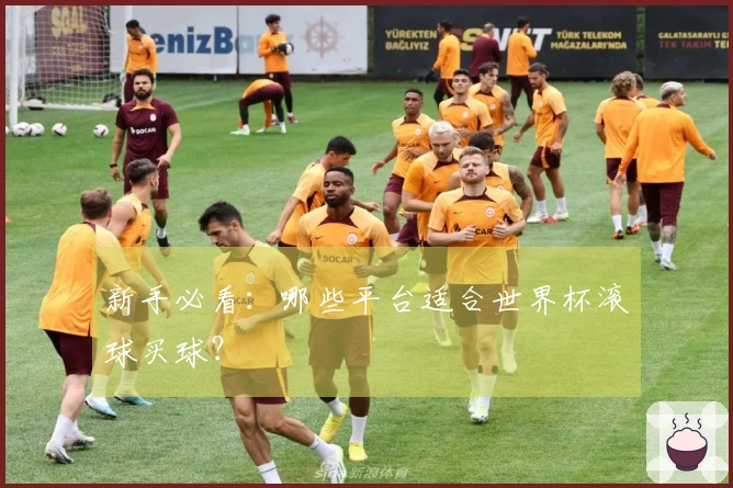 新手必看：哪些平台适合世界杯滚球买球？