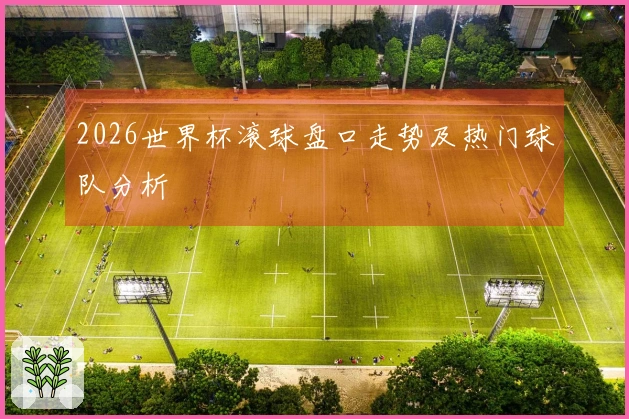 2026世界杯滚球盘口走势及热门球队分析