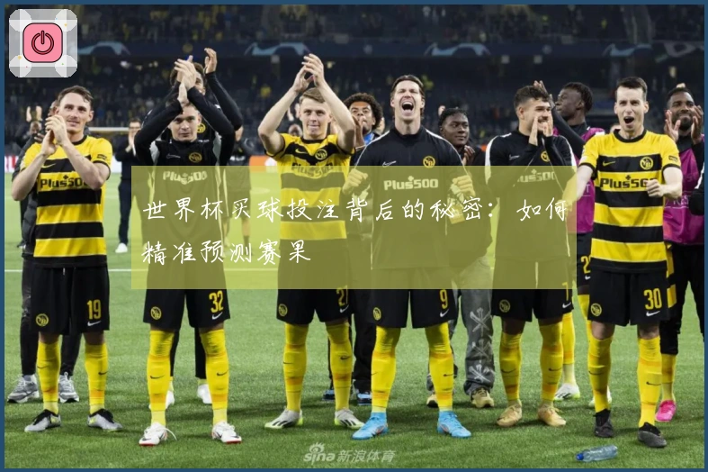世界杯买球投注背后的秘密：如何精准预测赛果