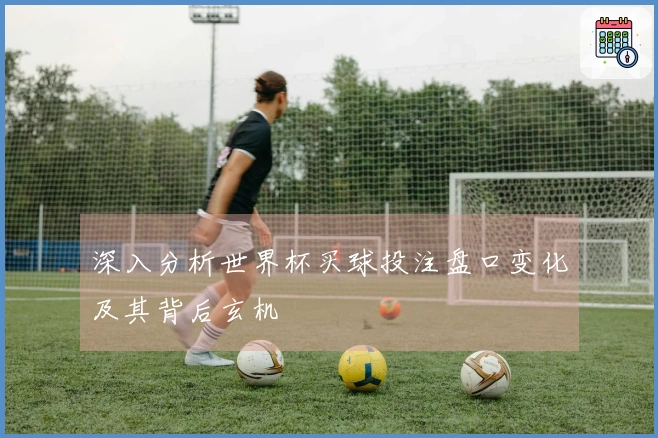 深入分析世界杯买球投注盘口变化及其背后玄机